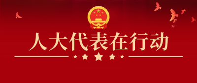 访民情、听民意｜全县各镇开展人大代表活动