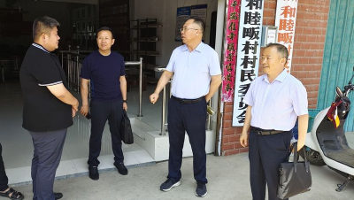 王成民、王笠到安居镇督导村“两委”换届“回头看”等工作
