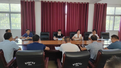 县领导到唐县镇开展“双联双促”暨“人大代表在行动”活动
