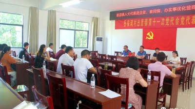 草店镇人大代表在行动