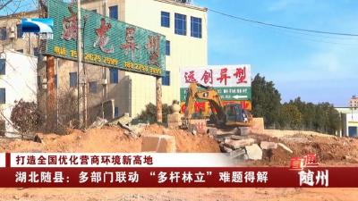 打造全国优化营商环境新高地 | 湖北随县：多部门联动 “多杆林立”难题得解