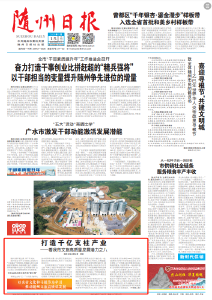 打造千亿支柱产业