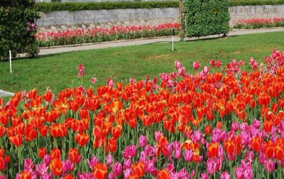 区人大常委会调研我区现代都市农业示范园建设