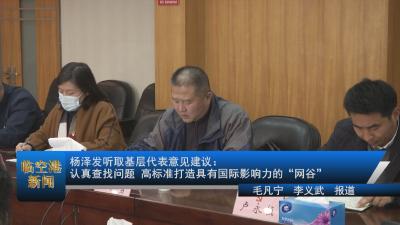 20201229杨泽发听取基层代表意见建议：认真查找问题 高标准打造具有国际影响力的“网谷”