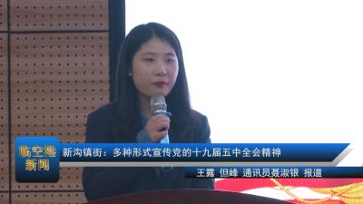 20201229新沟镇街：多种形式宣传党的十九届五中全会精神