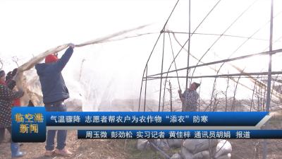 20210112气温骤降，志愿者帮农户为农作物“添衣”防寒