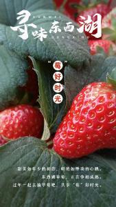 寻味东西湖 | 邀你共享 “莓”好时光