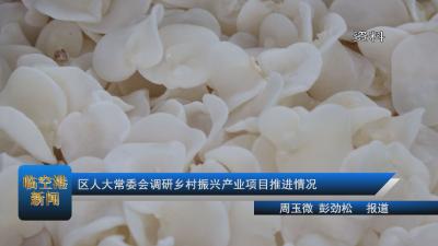 区人大常委会调研乡村振兴产业项目推进情况