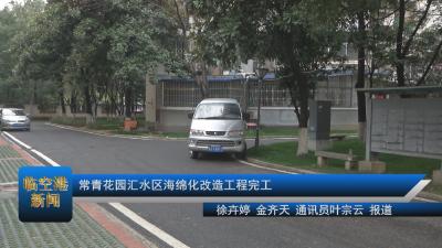 20210301常青花园汇水区海绵化改造工程完工