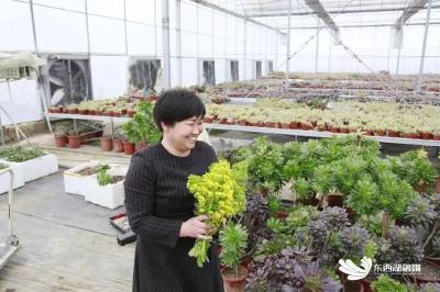 湖北省三八红旗手拟表彰对象公示，东西湖这个人上榜！