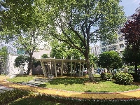 东西湖游园又又又上新了！