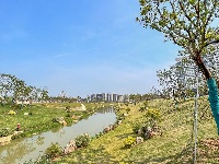 樱花溪公园拾零