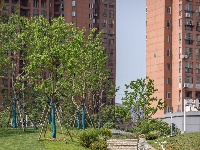 樱花溪公园拾零