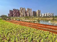 樱花溪公园拾零