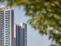 东西湖，“湿”意栖居