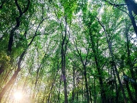 青绿为款，只此一卷