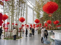 正月十五元宵节