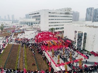 正月十五元宵节