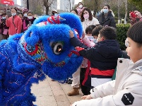 连日来，东西湖区各街道、社区纷纷组织元宵民俗活动