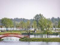 来杜公湖国家湿地公园，赏杜鹃岛漫山红遍“首秀”