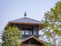 来杜公湖国家湿地公园，赏杜鹃岛漫山红遍“首秀”