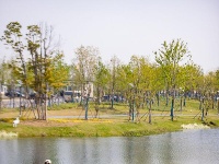 来杜公湖国家湿地公园，赏杜鹃岛漫山红遍“首秀”
