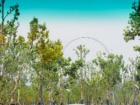 东西湖约你来这里