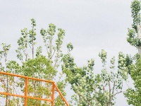 东西湖约你来这里