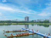 龙舟赛