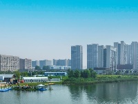 龙舟赛