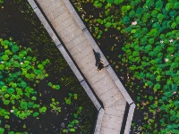 荷！荷！美！美！