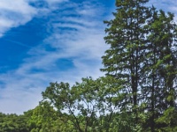 荷！荷！美！美！