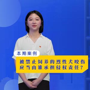 【“案”说民法典 普法故事“汇”】被禁止饲养的烈性犬咬伤，应当由谁承担赔偿责任？