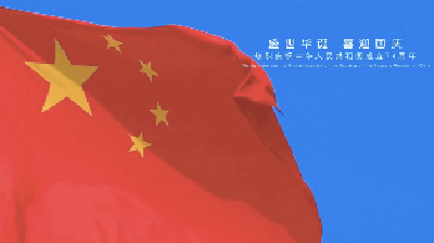 最绚丽的“中国红”，是东西湖儿女对祖国最深情的告白！