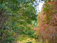 当「美拉德」的风吹到东西湖