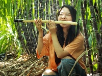 甘蔗地里啃甘蔗，甜！