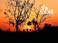 当「美拉德」的风吹到东西湖