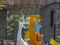 第27届菊展在樱花溪公园文化段绚丽揭幕！