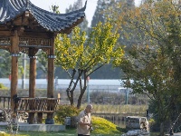 坐标慈惠，人少景美，打卡速来