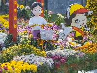 第27届菊展在樱花溪公园文化段绚丽揭幕！