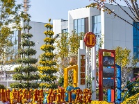 第27届菊展在樱花溪公园文化段绚丽揭幕！