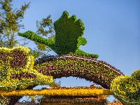 第27届菊展在樱花溪公园文化段绚丽揭幕！