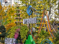 第27届菊展在樱花溪公园文化段绚丽揭幕！