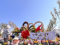 第27届菊展在樱花溪公园文化段绚丽揭幕！