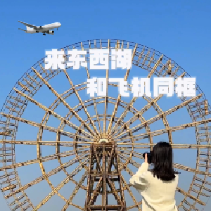 听了风的话，去了想去的地方！空港湿地花田，这里满足你对飞机拍照的所有期待，抬头仰望，从你的全世界路过~