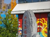 第27届菊展在樱花溪公园文化段绚丽揭幕！