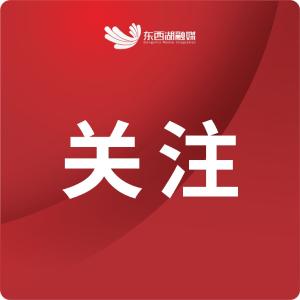 未来5年，东西湖怎么干？