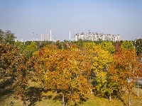 东西湖的公园太太太太太多了！今天继续安利