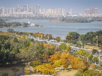 东西湖的公园太太太太太多了！今天继续安利