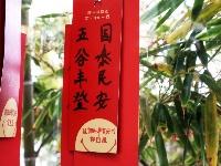 闹元宵，重温镜头里的年味